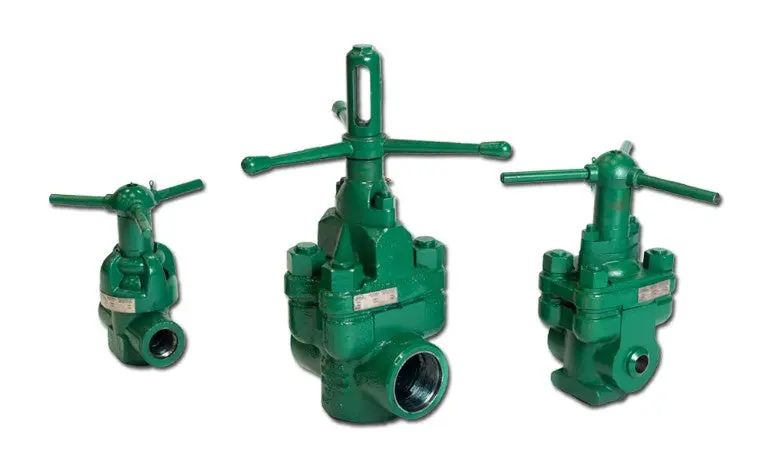 Oteco Gate Valve, 2-Inch, V250 Series, 5M Rating, Xxh Buttweld Ends 1
